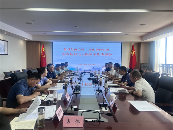 6月18日，歙縣供電公司總經(jīng)理張杰帶隊(duì)赴集團(tuán)就重點(diǎn)項(xiàng)目電力保障工作進(jìn)行座談交流，洪董、潘總、余總、張總，市政、逸寧等單位參加座談。.jpg
